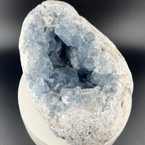 Lumina Vitae -