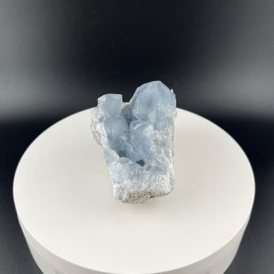 Lumina Vitae -