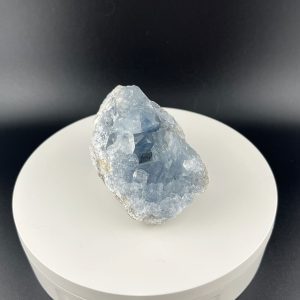 Lumina Vitae -