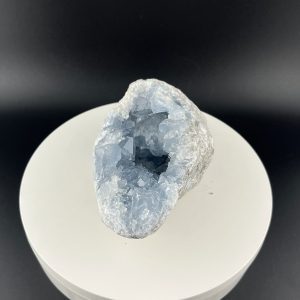 Lumina Vitae -
