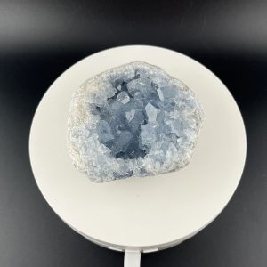 Lumina Vitae -