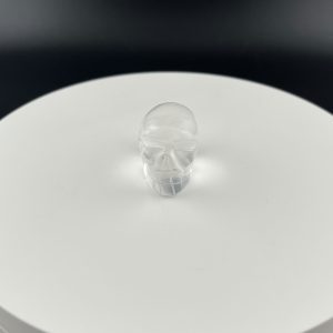 Lumina Vitae -