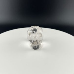 Lumina Vitae -