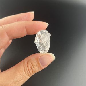 Lumina Vitae -
