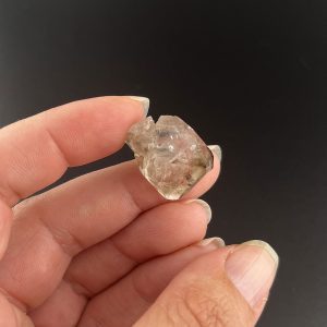Lumina Vitae -