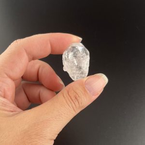 Lumina Vitae -