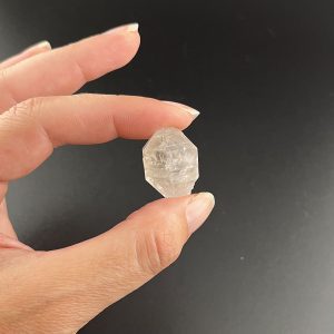 Lumina Vitae -