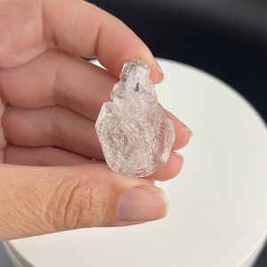 Lumina Vitae -