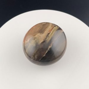 Lumina Vitae -