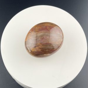 Lumina Vitae -