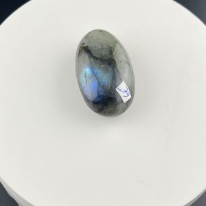 Lumina Vitae -