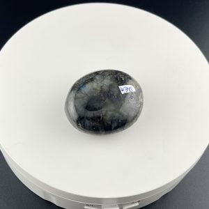 Lumina Vitae -
