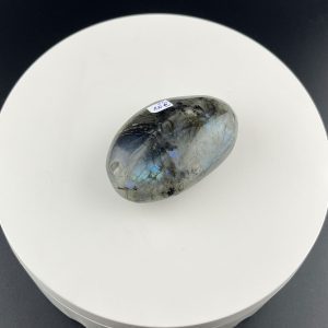 Lumina Vitae -