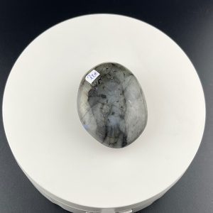 Lumina Vitae -