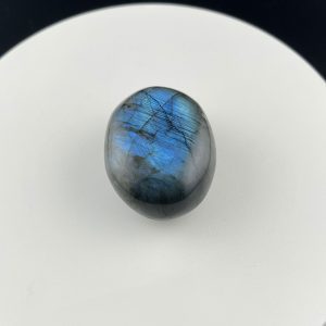 Lumina Vitae -