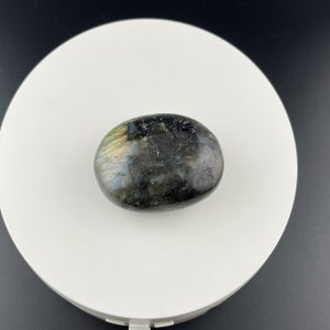Lumina Vitae -