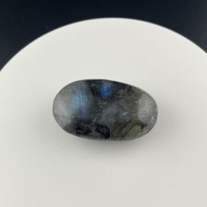Lumina Vitae -
