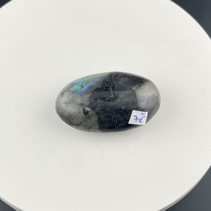 Lumina Vitae -
