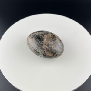 Lumina Vitae -
