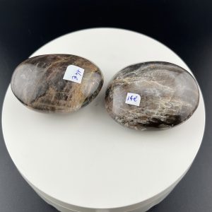 Lumina Vitae -