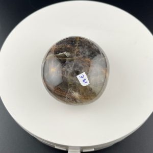 Lumina Vitae -