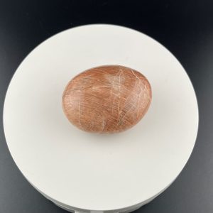 Lumina Vitae -