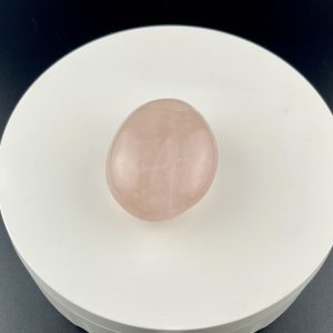 Lumina Vitae -