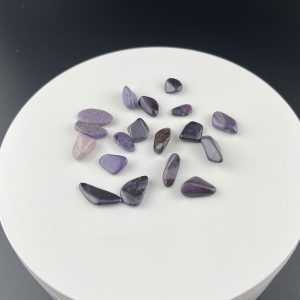 Lumina Vitae -