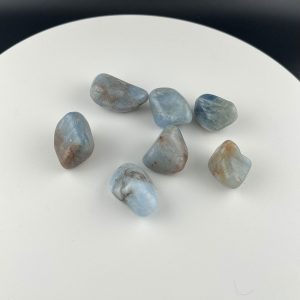Lumina Vitae -