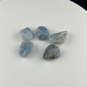Lumina Vitae -