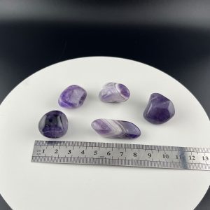 Lumina Vitae -