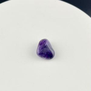 Lumina Vitae -