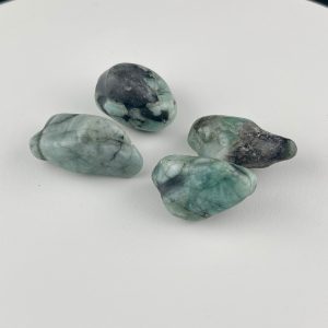 Lumina Vitae -