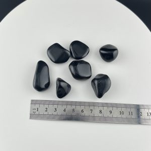 Lumina Vitae -