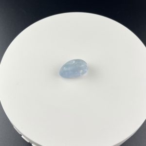 Lumina Vitae -