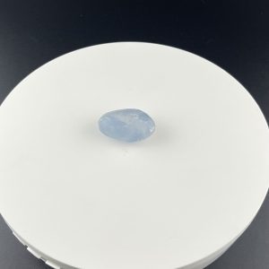 Lumina Vitae -