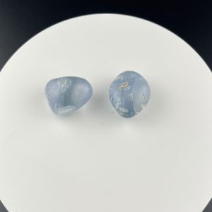 Lumina Vitae -