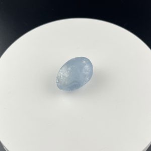 Lumina Vitae -