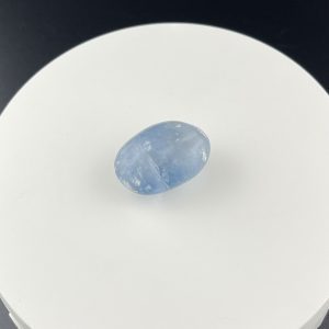 Lumina Vitae -