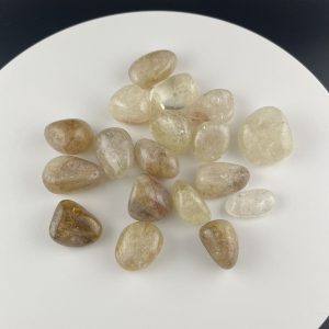 Lumina Vitae -