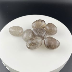 Lumina Vitae -