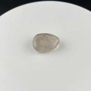 Lumina Vitae -