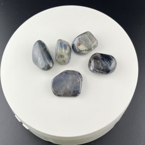 Lumina Vitae -