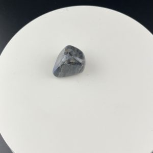 Lumina Vitae -