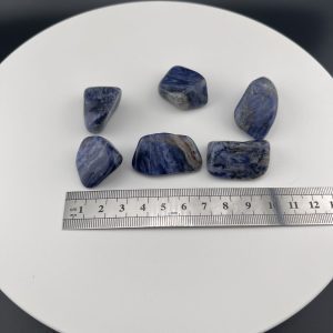 Lumina Vitae -
