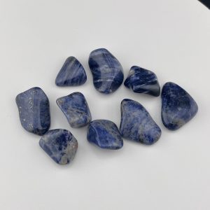 Lumina Vitae -