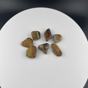 Lumina Vitae -