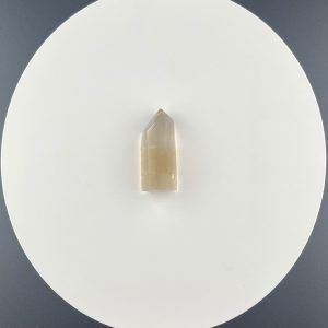 Lumina Vitae -