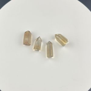 Lumina Vitae -
