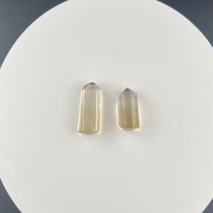 Lumina Vitae -